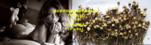 прущие крисы Зерноград